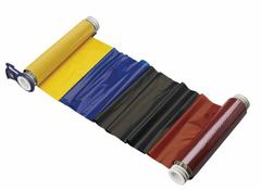 13533 BRADY, BBP85 R10000 4 COLOR