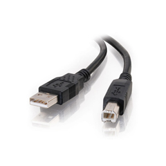 CTG-28102 CABLES TO GO, 2M USB 2.0 A/B CABLE-BLACK (6.6FT)