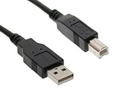 977ZZ010000119 CUSTOM AMERICA, USB PRINTER CABLE,6 FT A TO B., PREVIOUSLY PART # RPCABLE-U2