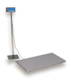 816965001897 AVERY BRECKNELL, MEDICAL SCALE, PS500 VETERINARY SCALE36 250 KG X 0.1 KG / 500 LB X 0.2 LB
