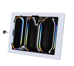 RAM-TE-AP47-GRY RAM, RAM SAFE-CASE FOR APPLE IPAD PRO 12.9" 3-6 PRO 13" M2 AIR 13" M4 GREY