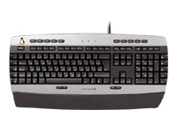 G86-21070EUAAAC Silver/Black, Linux multimedia kbd, USB