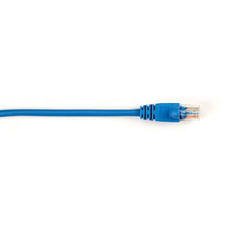 CAT5EPC-010-BL-10PAK CAT5e 100-MHz Molded Snagless 10FT