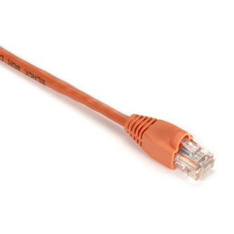 EVNSL89-0006 CAT5E SNAGLESS PATCH CABLE UTP PVC OR 6"