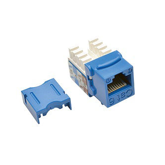 N238-001-BL BLU WLLPLT JACK,CAT6/5E 568A/B