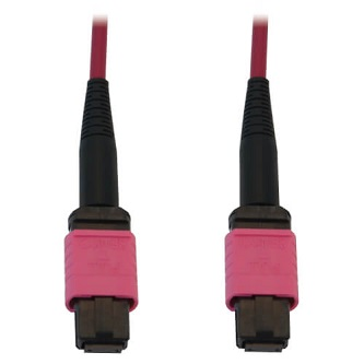 N845B-25M-12-MG FIB 100G MMF 50/125 OM4 FF 25M