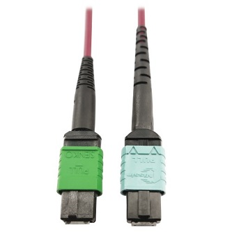 N846D-01M-16CMG MTP/MPO-APC TO 24F MTP/MPO-UPC