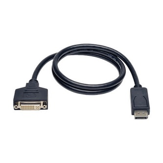 P134-003 3ft DisplayPort to DVI Adapter