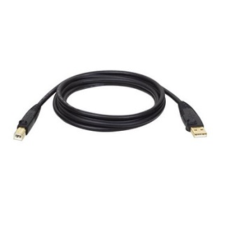 U022-010 10FT USB2 GOLD AB CBL