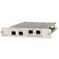 1200103L2 TSU Dual FXO Module (Provides two Foreign Exhange Office - FXO voice ports. Supports message waiting indication when used with ADTRAN Dual FXS modules)