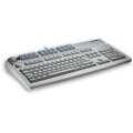 G818308LPAUS0 G81-8308, MultiBoard (Full Size, 130 key, PS/2, 24 Programmable/24 Relegendable Keys) - Color: Light Gray