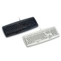 G862000EUAEAB G86-22000 CyMotion Expert Keyboard (Multimedia, USB, PS/2 and Spill Resistant) - Color: Light Gray