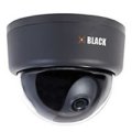 BLK-IPD101 Intelligent IP Indoor Mini Dome D1 Camera (H.264, 3.6mm, Color, 12VDC)