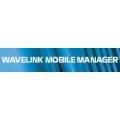 210-LI-MMHPWM MOBILE MGR - HP OPENVIEW UPGR. WAVELINK MBL MGR for HP OpenView UPG