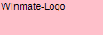 Winmate Logo