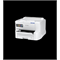 C11CL37201