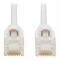 N261ABS01WH
